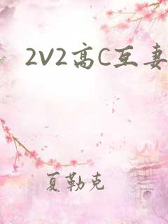 2V2高C互妻