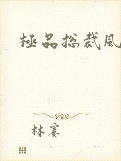 极品总裁风流录