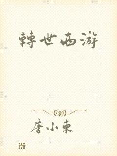 转世西游
