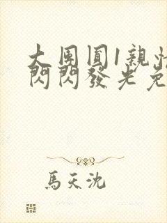 大团圆1亲情会闪闪发光免费