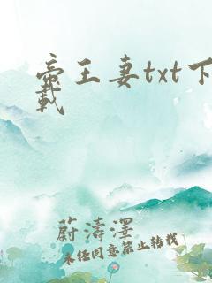 帝王妻txt下载