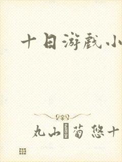 十日游戏小说
