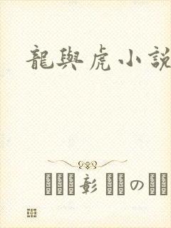 龙与虎小说