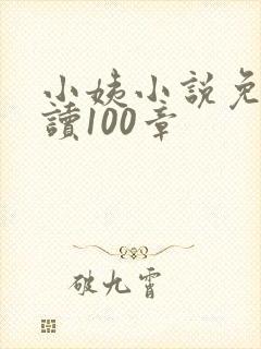 小姨小说免费阅读100章