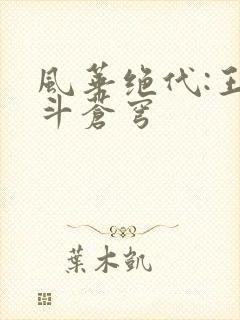 风华绝代:王妃斗苍穹