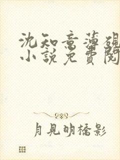 沈知意薄砚霆的小说免费阅读