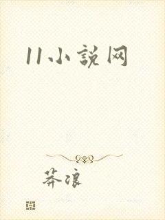 11小说网