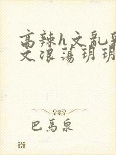 高辣h文乱乳h文浪荡玥玥