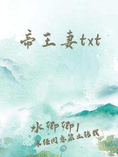 帝王妻txt