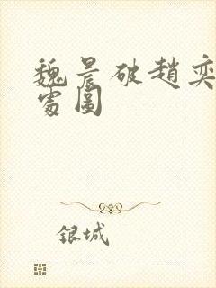 魏晨破赵奕欢的处图