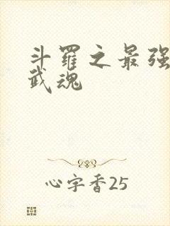 斗罗之最强治疗武魂