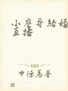 小么哥结婚视频直播