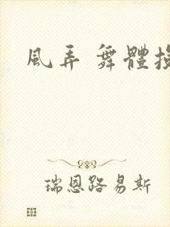 风弄 舞体投递