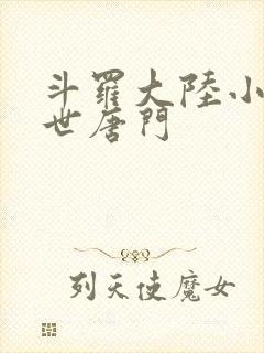 斗罗大陆小说绝世唐门