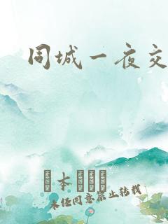 同城一夜交友