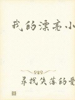 我的漂亮小后妈