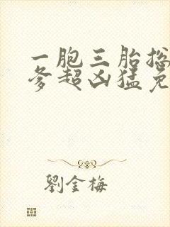 一胞三胎总裁爹爹超凶猛免费阅读