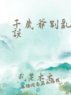 千岁爷别乱来小说