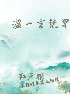 温一言梵星小说