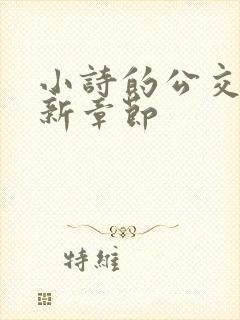 小诗的公交车最新章节