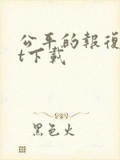 公平的报复txt下载