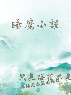 睡魔小说