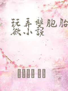 玩弄双胞胎的肉欲小说