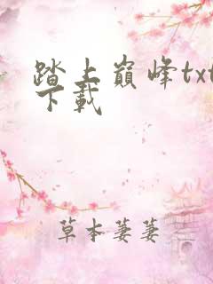 踏上巅峰txt下载