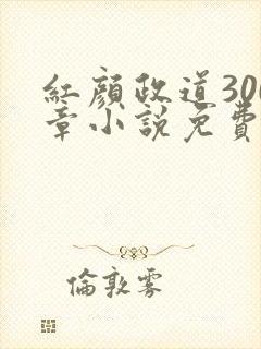 红颜政道300章小说免费阅读