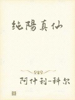 纯阳真仙