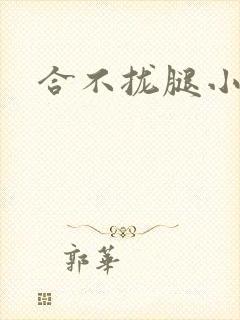 合不拢腿小说