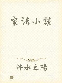 家法小说