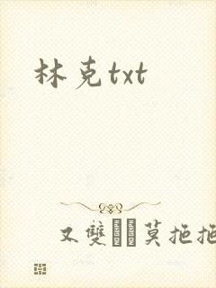 林克txt
