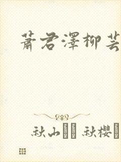 萧君泽柳芸小说