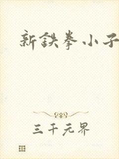 新铁拳小子