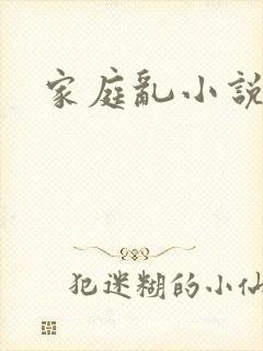 家庭乱小说