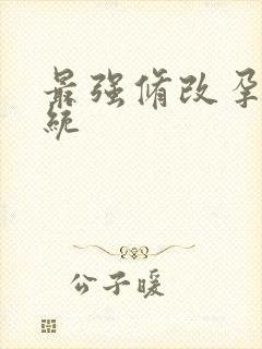 最强修改孕妇系统