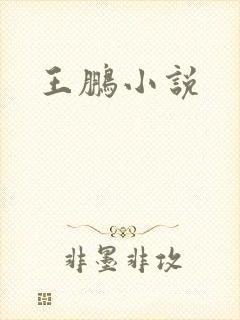 王鹏小说