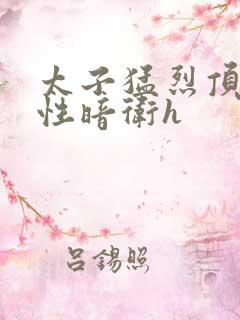 太子猛烈顶弄双性暗卫h