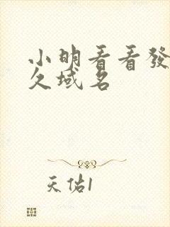 小明看看发布永久域名