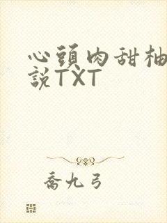 心头肉甜柚子小说TXT