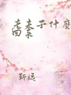 老夫子什么时候回来