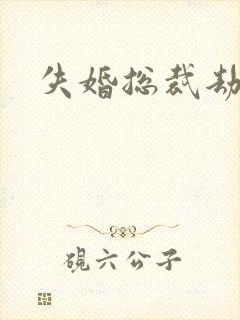 失婚总裁劫前妻