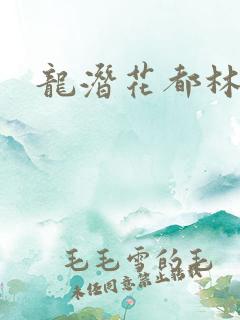 龙潜花都林逸