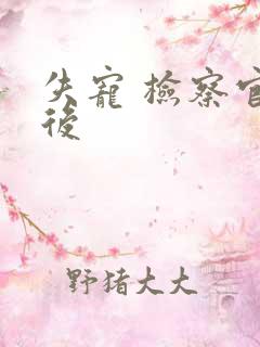 失宠 检察官皇后