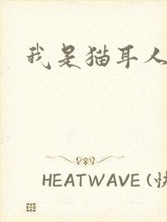 我是猫耳人