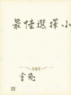 最佳选择小说