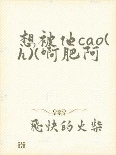 想被他cao(h)(啊肥阿