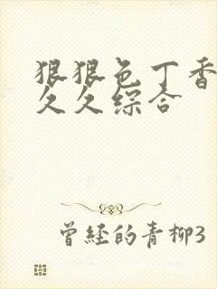 狠狠色丁香婷婷久久综合