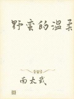 野蛮的温柔